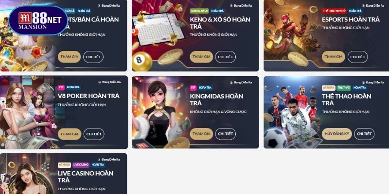 Chương trình hoàn trả từ hệ thống M88 cực hấp dẫn