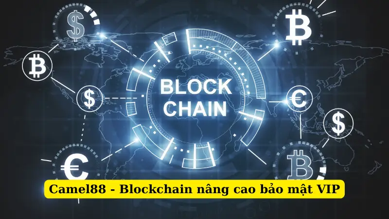 Camel88 - Blockchain nâng cao bảo mật VIP