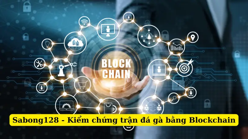 Sabong128 - Kiểm chứng trận đá gà bằng Blockchain